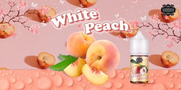 GENESIS系列 30ML 煙油